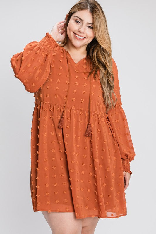 Flowy Textured Long Sleeve Mini Dress with Smocked Cuffs